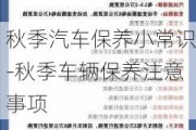 秋季汽车保养小常识-秋季车辆保养注意事项