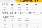 特斯拉每公里多少钱电_特斯拉一公里电费多少啊