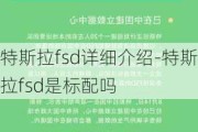 特斯拉fsd详细介绍-特斯拉fsd是标配吗