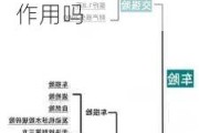 汽车厂商倒闭了买保险-车险公司倒闭了买的车险还有作用吗