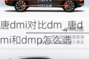 唐dmi对比dm_唐dmi和dmp怎么选