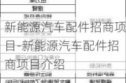 新能源汽车配件招商项目-新能源汽车配件招商项目介绍