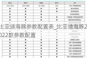 比亚迪海豚参数配置表_比亚迪海豚2022款参数配置