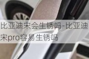 比亚迪宋会生锈吗-比亚迪宋pro容易生锈吗