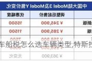 特斯拉申报车船税怎么选车辆类型,特斯拉model3车船税