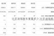 比亚迪海豚车重量多少,比亚迪海豚车重