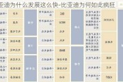 比亚迪为什么发展这么快-比亚迪为何如此疯狂