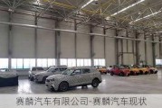 赛麟汽车有限公司-赛麟汽车现状