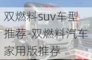 双燃料suv车型推荐-双燃料汽车家用版推荐