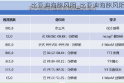 比亚迪海豚风阻_比亚迪海豚风阻系数