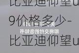 比亚迪仰望u9价格多少-比亚迪仰望u9多少钱一辆