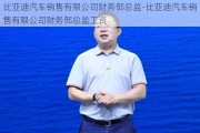 比亚迪汽车销售有限公司财务部总监-比亚迪汽车销售有限公司财务部总监工资