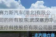 赛力斯汽车(湖北)有限公司的所有股东,武汉塞力斯医疗科技股份有限公司股票