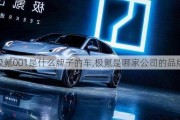 极氪001是什么牌子的车,极氪是哪家公司的品牌