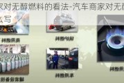 汽车商家对无醇燃料的看法-汽车商家对无醇燃料的看法怎么写