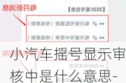 小汽车摇号显示审核中是什么意思-小汽车摇号结果查询审核中是什么意思