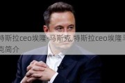 特斯拉ceo埃隆·马斯克,特斯拉ceo埃隆马斯克简介