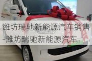 潍坊瑞驰新能源汽车销售-潍坊瑞驰新能源汽车