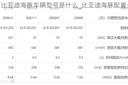 比亚迪海豚车辆型号是什么_比亚迪海豚配置公布