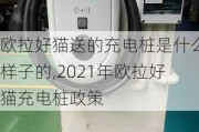 欧拉好猫送的充电桩是什么样子的,2021年欧拉好猫充电桩政策