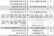 哈尔滨汽车加气站电话-哈尔滨汽车加气站