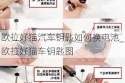 欧拉好猫汽车钥匙如何换电池_欧拉好猫车钥匙图