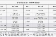 特斯拉1万公里保养-特斯拉一万公里保养费用