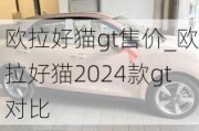 欧拉好猫gt售价_欧拉好猫2024款gt对比