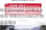 特斯拉model 3价格还会降吗-特斯拉model3价格还会降吗