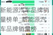 新能源汽车品牌销量榜单_新能源汽车品牌销量榜