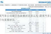 蔚来汽车公司简介与发展状况怎么写-蔚来汽车公司简介与发展状况