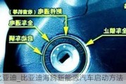 海鸥 比亚迪_比亚迪海鸥新能源汽车启动方法