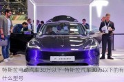 特斯拉电动汽车30万以下-特斯拉汽车30万以下的有什么型号