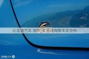 比亚迪汽车 海豚_比亚迪海豚车友会标