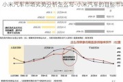 小米汽车市场劣势分析怎么写-小米汽车的目标市场