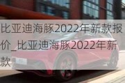 比亚迪海豚2022年新款报价_比亚迪海豚2022年新款