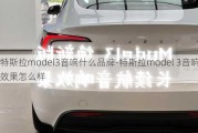 特斯拉model3音响什么品牌-特斯拉model 3音响效果怎么样