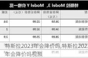 特斯拉2023年会降价吗,特斯拉2023年会降价吗视频