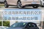 比亚迪海豚和海鸥的区别-比亚迪海豚vs欧拉好猫