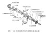 汽车传动轴工作总结-汽车传动轴工作原理