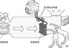 汽车降温系统原理-车用降温