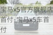 宝马x5官方旗舰店首付-宝马x5车首付