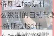 特斯拉fsd是什么级别的自动驾驶-特斯拉fsd什么时候推出的