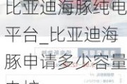 比亚迪海豚纯电平台_比亚迪海豚申请多少容量电桩