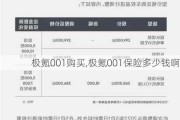 极氪001购买,极氪001保险多少钱啊