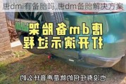 唐dmi有备胎吗,唐dm备胎解决方案