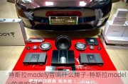 特斯拉modely音响什么牌子-特斯拉model y的音响品牌