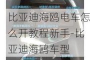 比亚迪海鸥电车怎么开教程新手-比亚迪海鸥车型