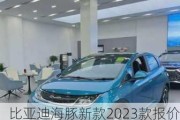 比亚迪海豚新款2023款报价首付_比亚迪海豚新款2023款报价