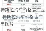 特斯拉汽车价格表车型-特斯拉汽车价格表车型图片